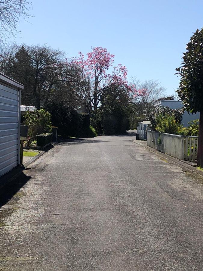 Inglewood Shared Home Bnb New Plymouth Eksteriør bilde